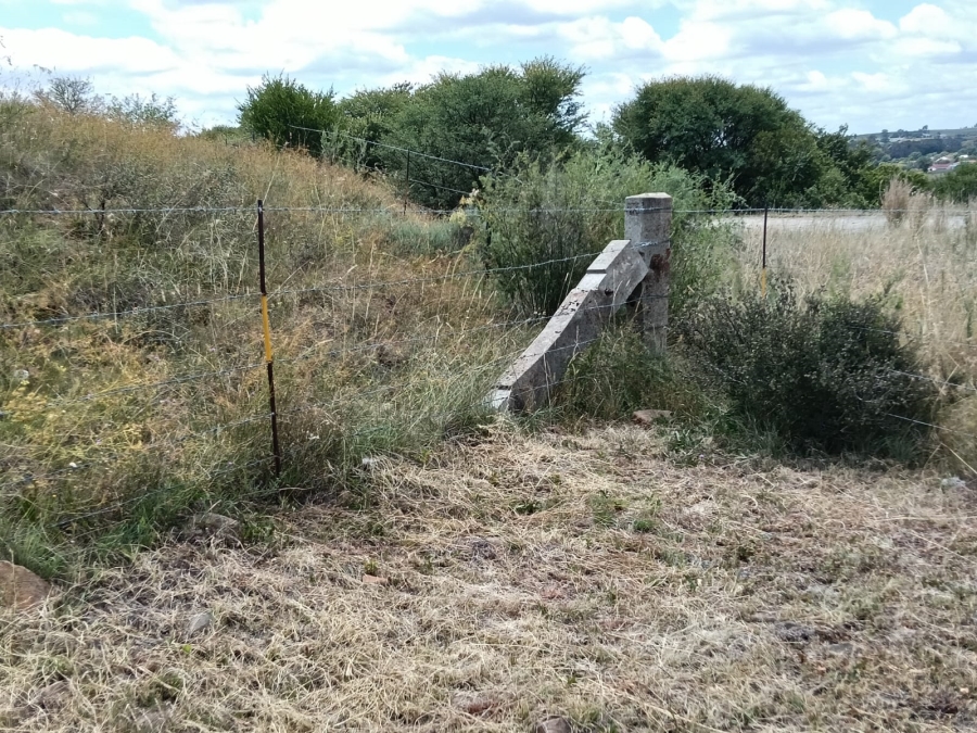 0 Bedroom Property for Sale in Lindley Rural Free State